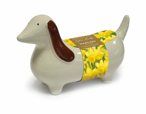 Sausage Dog Planter