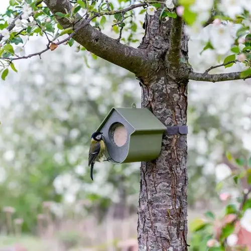 Seed Feeder Blue Evie SingingFriend - image 2