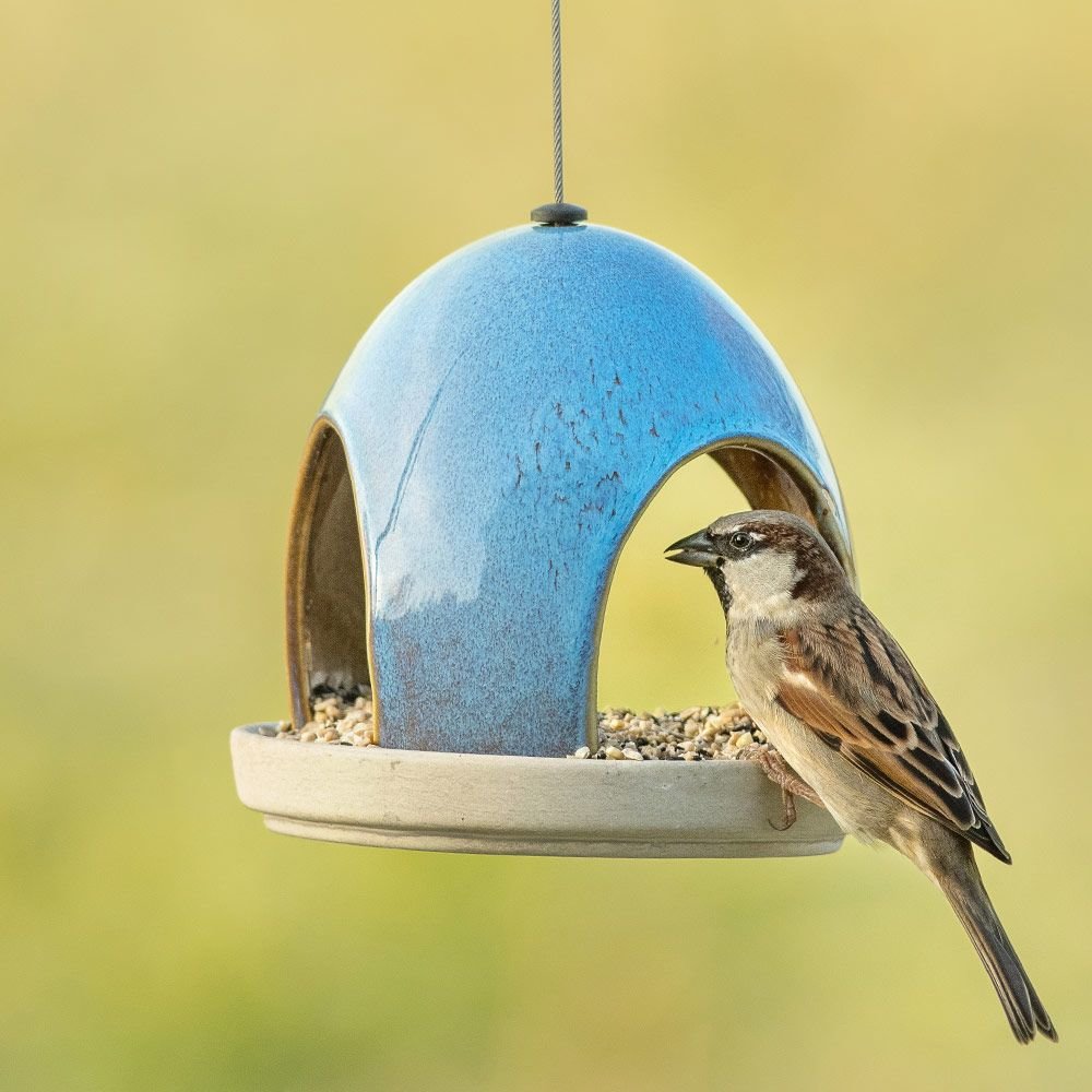 slow release bird feeder