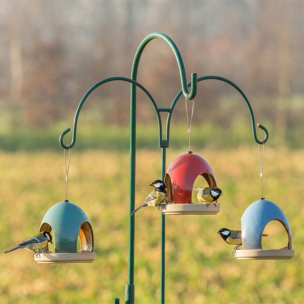 vierno tavern seed feeder