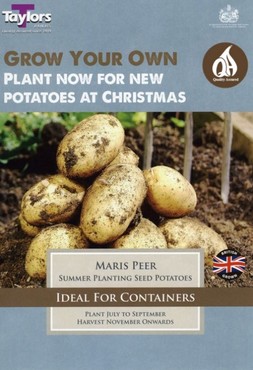 Seed Potato (Maris Peer)