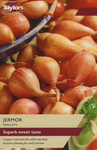 Shallot Jermor