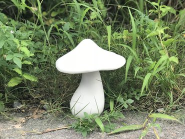 Single Toadstool Medium White