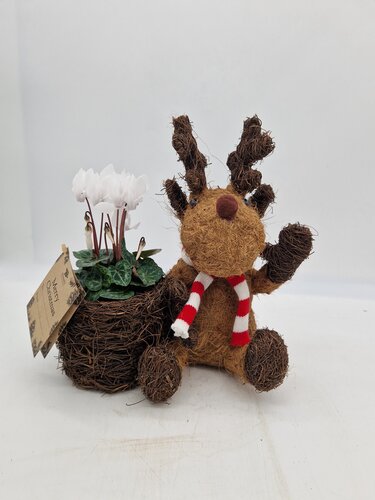 Sitting Moose with Pot Planter - image 1