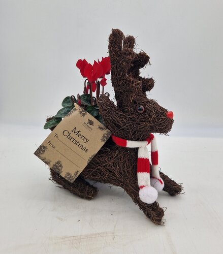 Sitting Reindeer with Scarf Planter - image 2