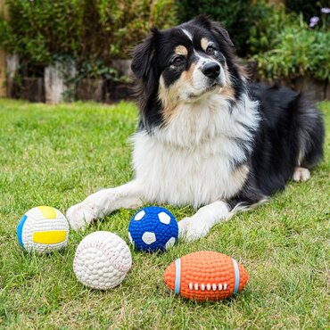 Squeaky 6cm Latex Pooch Ball (4 Designs) - image 1