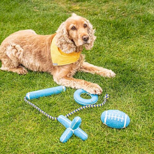 Squeaky Pooch 8cm Mini Rugger Ball - image 1