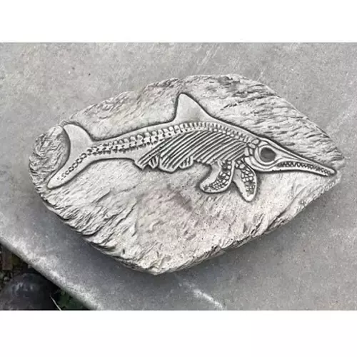 Stepping Stone Fossilized Fish - image 1