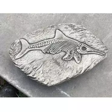Stepping Stone Fossilized Fish - image 1