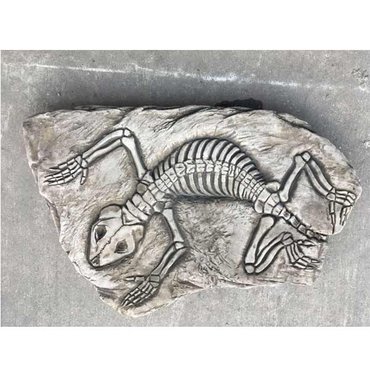 Stepping Stone Fossilized Lizard - image 1