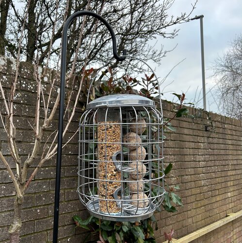 Sterling 3 in 1 Squirrel Proof Feeder - image 1