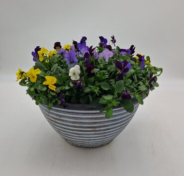 Striation Bowl Planter 30cm