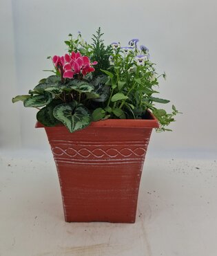 Tall Square Pot 25cm