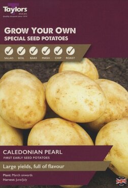 Taster Pack Caledonian Pearl