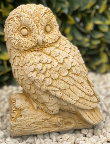 Tawny Owl Med Sandstone