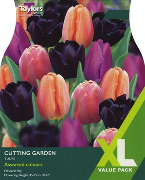 Tulip Cutting Garden