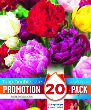 Tulip Mixed Doubles Promo Pack