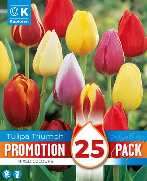 Tulips Triumph Mixed Promo Pack