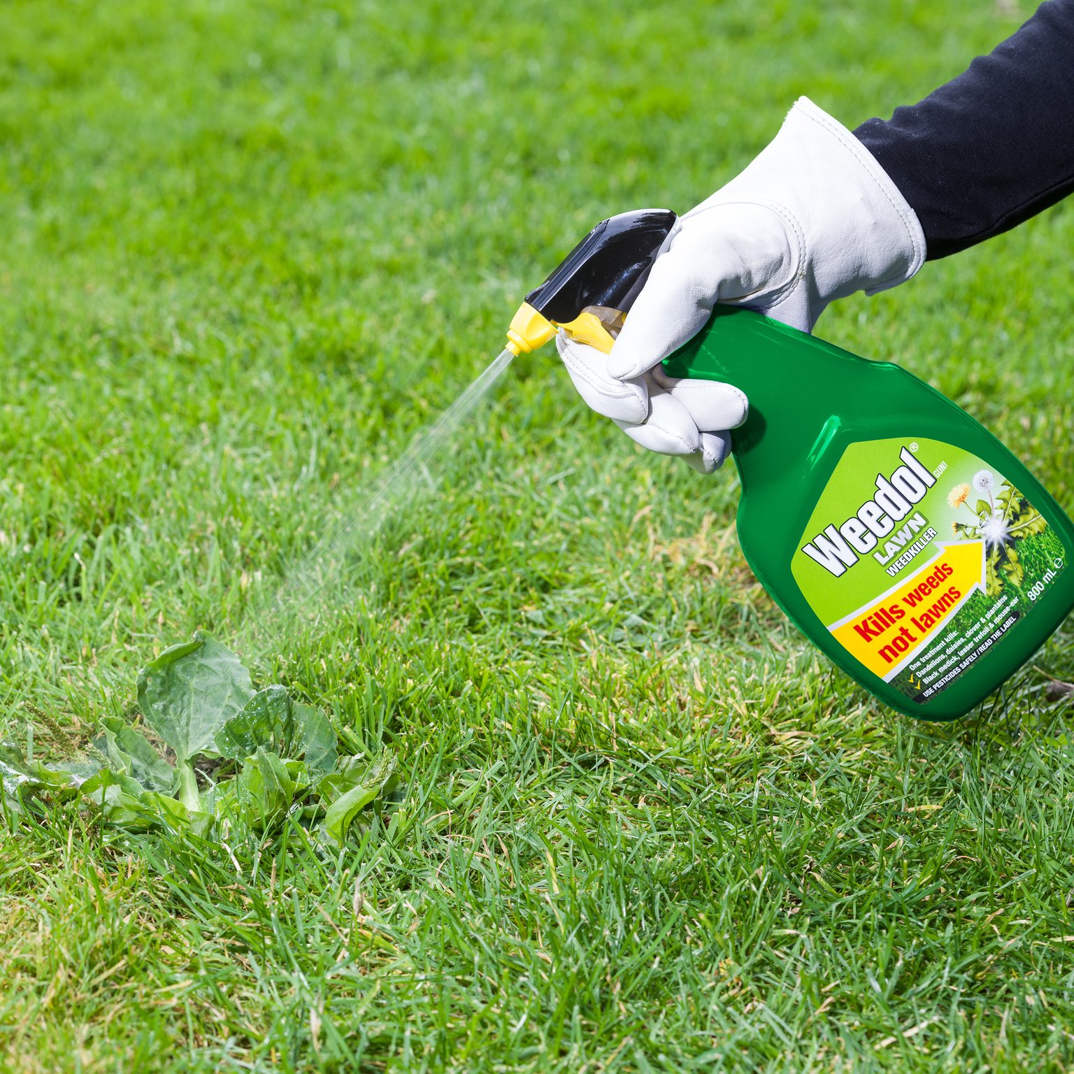 Weedol Gun Lawn 800ml + 25% - Stewarts Garden Centre