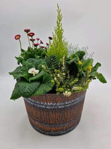 Whiskey Barrel Planter 30cm