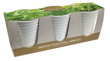 Windowsill Ceramic Herb Pot Trio