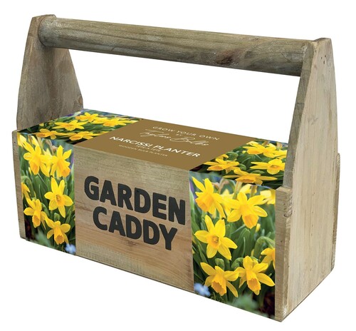 Wooden Narcissi Planter