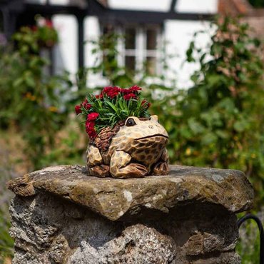 Woodland Frog Planter - image 1